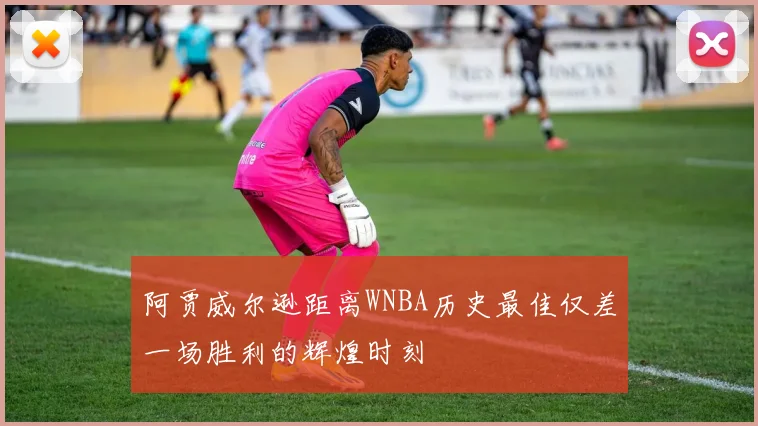 阿贾威尔逊距离WNBA历史最佳仅差一场胜利的辉煌时刻