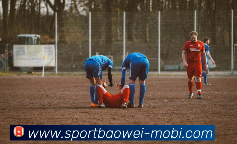 宝威体育APP 封面图