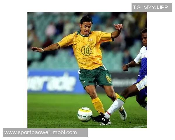 澳大利亚足球名人堂新成员揭晓卡希尔等三位传奇入选 澳大利亚足球名人堂新成员揭晓卡希尔等三位传奇入选